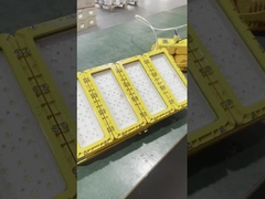 WF2 IP66 wasserdichtes, konvexes Glasschattenlicht