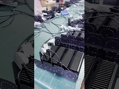 600w HPS 4x4 Grow Light Pflanzenlampe fördern Blüte und Frucht