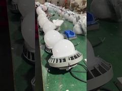 Hochhelles High Bay-Licht aus gehärtetem Aluminium, 50 W, 100 W, 150 W, explosionsgeschütztes LED-Licht