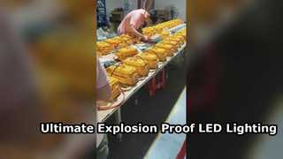 ATEX-zugelassener IP65 wasserdichter LED-Fluter mit gehärtetem Glas für explosionsgefährdete Bereiche