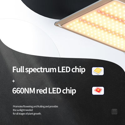 200w LED T5 Wachstumsleuchten Gewächshausbeleuchtungssystem