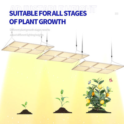 600W Vollspektrum-LED-Wachstumslicht mit Dimmbarfunktion für optimales Pflanzenwachstum