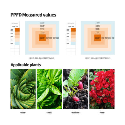 600W Vollspektrum-LED-Wachstumslicht mit Dimmbarfunktion für optimales Pflanzenwachstum