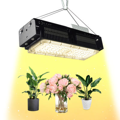 50W Vollspektrum-LED-Wachstumslicht für Zimmerpflanzen mit AC85-265V Spannung