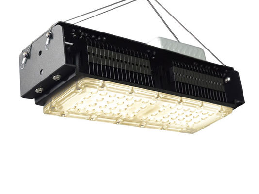 50W Vollspektrum-LED-Wachstumslicht für Zimmerpflanzen mit AC85-265V Spannung