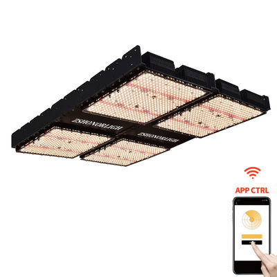 1000W Innenraumpflanzenleuchten 4x4 Wachsen Licht