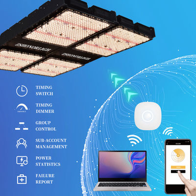 1000W Vollspektrum Dimmbare LED-Pflanzenlampe für Innenpflanzen mit Zeitschaltuhr