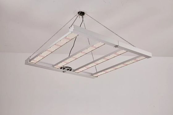 Faltbares 600W Vollspektrum-LED-Wachlicht für den kommerziellen Pflanzenanbau