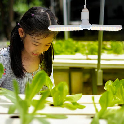 Kompakte LED-Wachstumsleuchte mit Vollspektrum + 660nm und IP68 Wasserdicht für das Wachstum von Innenpflanzen