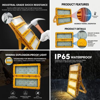 ATEX Ex db mb IIb T6 300W LED Explosion Proof Flood Light LUMILEDS LM-80 IP65 Hazardous Area Industrial Lighting