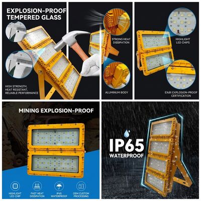 Multi-Mount 600W LED Explosion Proof Flood Light 6-Way Bracket LUMILEDS LM-80 ATEX IIb T6 IP65 Decken-Bohr-Wandbefestigung