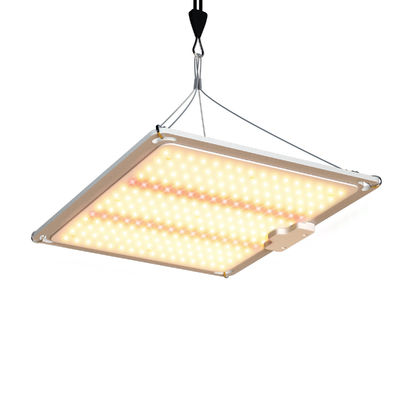 600w HPS 4x4 Grow Light Pflanzenlampe fördern Blüte und Frucht