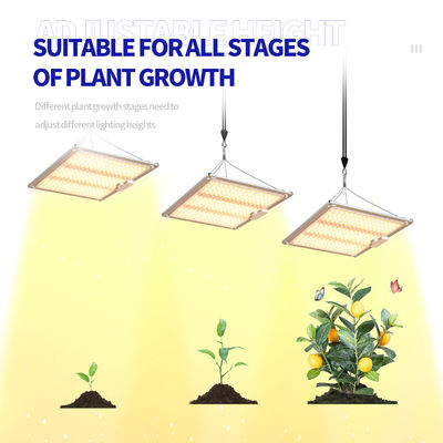 600w HPS 4x4 Grow Light Pflanzenlampe fördern Blüte und Frucht