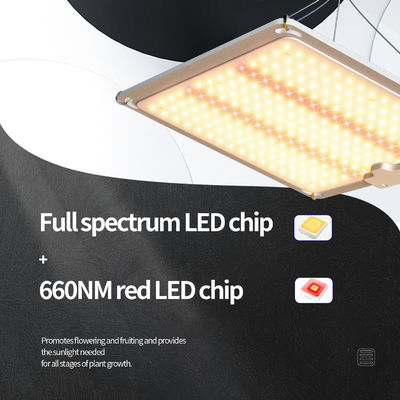 Aluminium 400w LED Wachstumslicht für Hauspflanzen SMD2835 Vollspektrum