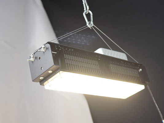 AC85V-265V Innenräumliche LED-Wachstumsleuchten für Zimmerpflanzen 50W