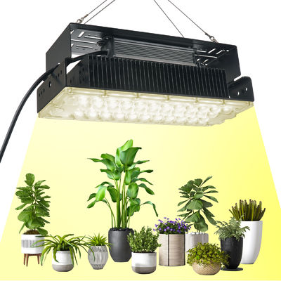 100w Indoor 5x5 Wachstumslicht für Innengarten Sukkulentenpflanzen SMD3030