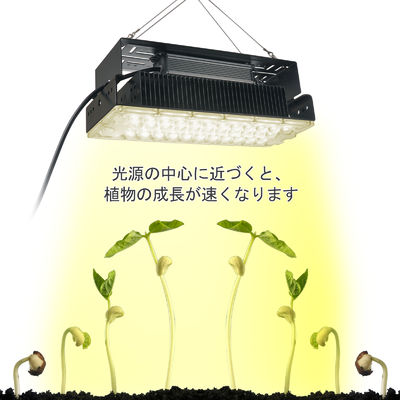 100w Indoor 5x5 Wachstumslicht für Innengarten Sukkulentenpflanzen SMD3030