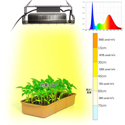 100w Indoor 5x5 Wachstumslicht für Innengarten Sukkulentenpflanzen SMD3030
