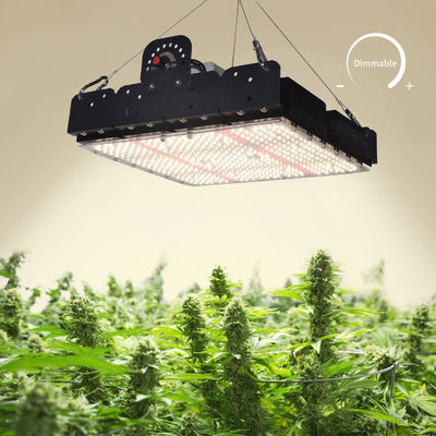Vollspektraler T5-LED-Wachstumslicht für Innenpflanzen 250w