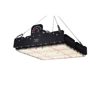 Vollspektraler T5-LED-Wachstumslicht für Innenpflanzen 250w