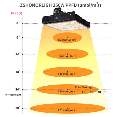 Vollspektraler T5-LED-Wachstumslicht für Innenpflanzen 250w