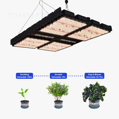 1000W Innenraumpflanzenleuchten 4x4 Wachsen Licht