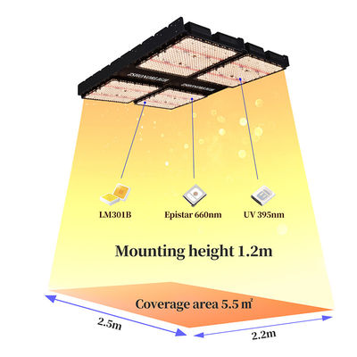 1000W Innenraumpflanzenleuchten 4x4 Wachsen Licht