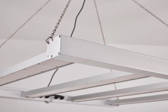 Falte 4T LED Wachstumsleuchte 600W 800W für kommerzielle Zwecke