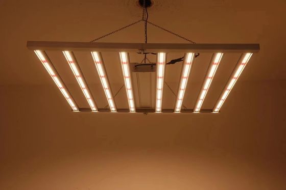 Klappbare 8T Gewächshaus wachsen Lichter 800W 1000w HPS