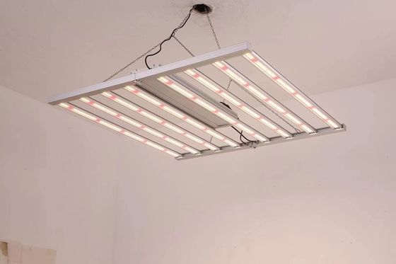 Klappbare 8T Gewächshaus wachsen Lichter 800W 1000w HPS