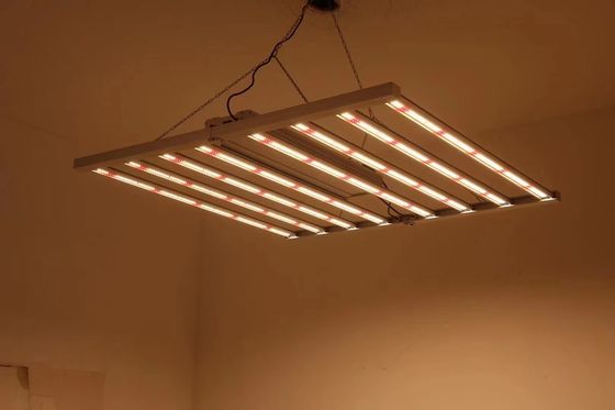 Klappbare 8T Gewächshaus wachsen Lichter 800W 1000w HPS