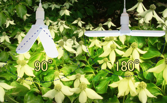 Kompakte LED-Wachstumsleuchten für Gemüse 20W 40W IP68 Wasserdicht