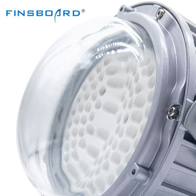 Hochwertige Hochbuchtenlampe Ip65 Wasserdichte Tankstelle 50w 100w 150w Led Explosionssichere Plattformlicht